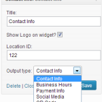 Contact Info Widget Options